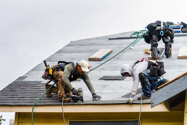 Professional Roofing technician working in Mc Donough, NY